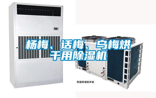 杨梅、话梅、乌梅烘干用除湿机