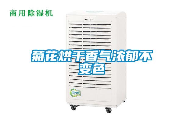 菊花烘干香气浓郁不变色