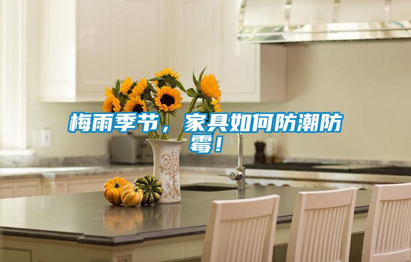 梅雨季节，家具如何防潮防霉！