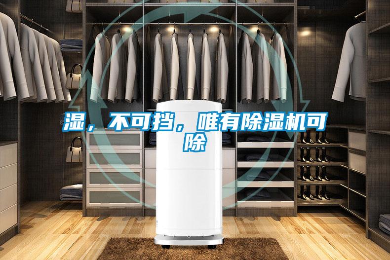湿，不可挡，唯有除湿机可除