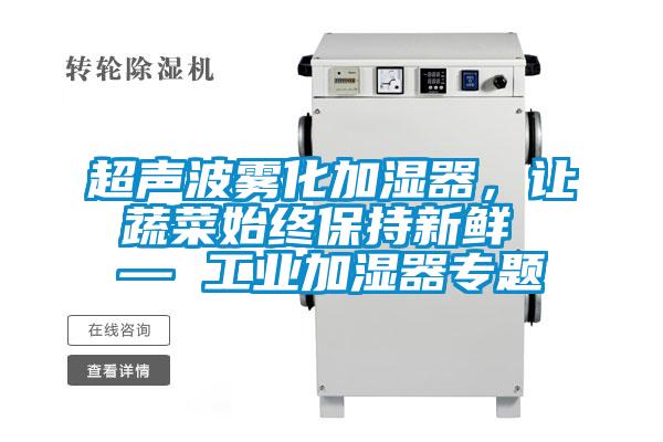 超声波雾化加湿器，让蔬菜始终保持新鲜 — 工业加湿器专题