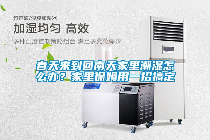 春天来到回南天家里潮湿怎么办？家里保姆用一招搞定