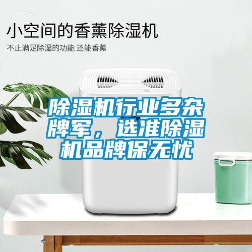 除湿机行业多杂牌军，选准除湿机品牌保无忧