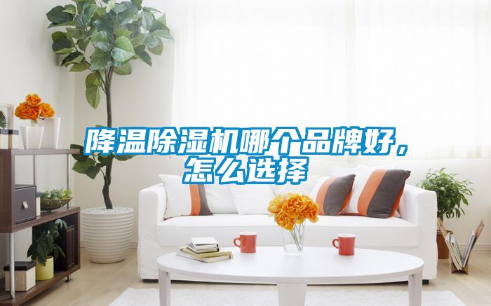 降温除湿机哪个品牌好，怎么选择