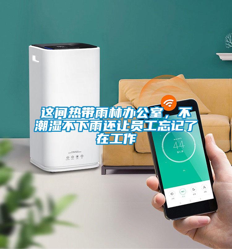 这间热带雨林办公室，不潮湿不下雨还让员工忘记了在工作