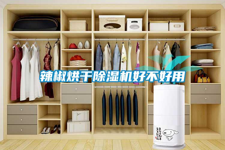 辣椒烘干除湿机好不好用