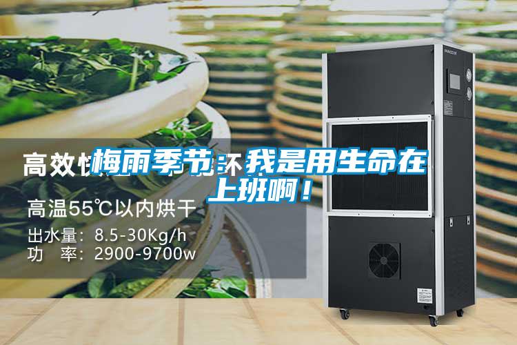 梅雨季节：我是用生命在上班啊！