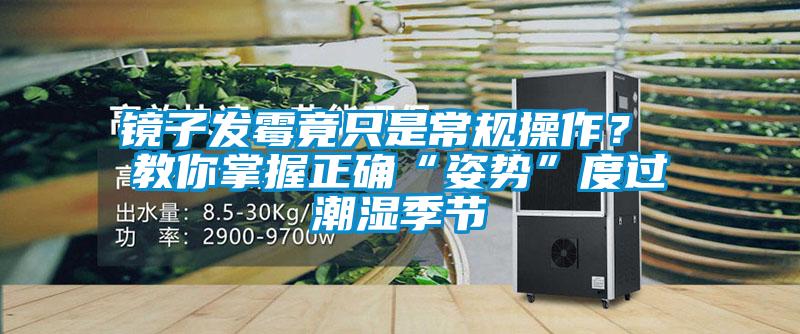 镜子发霉竟只是常规操作？ 教你掌握正确“姿势”度过潮湿季节