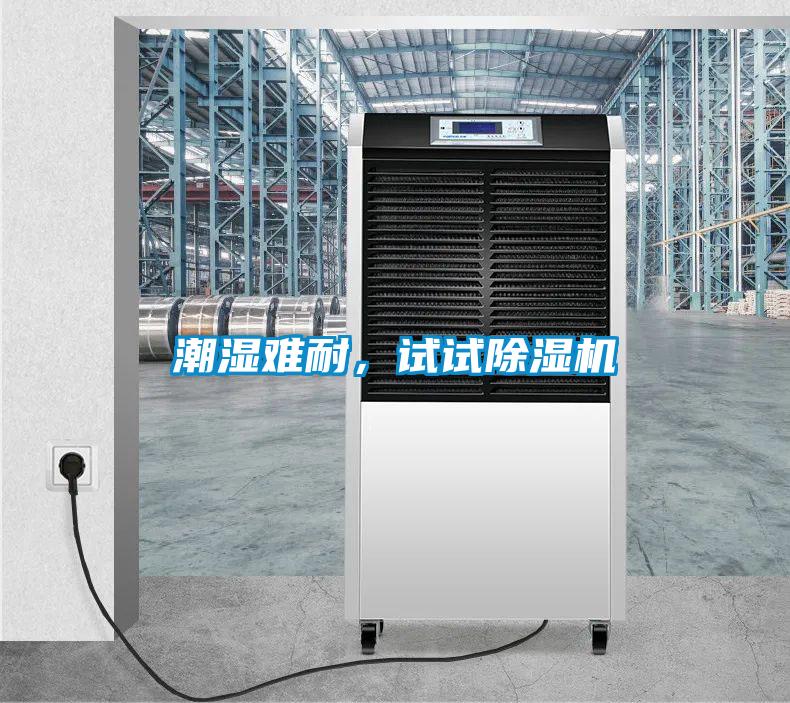 潮湿难耐，试试除湿机