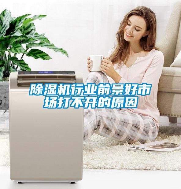 除湿机行业前景好市场打不开的原因