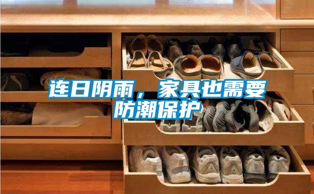 连日阴雨，家具也需要防潮保护