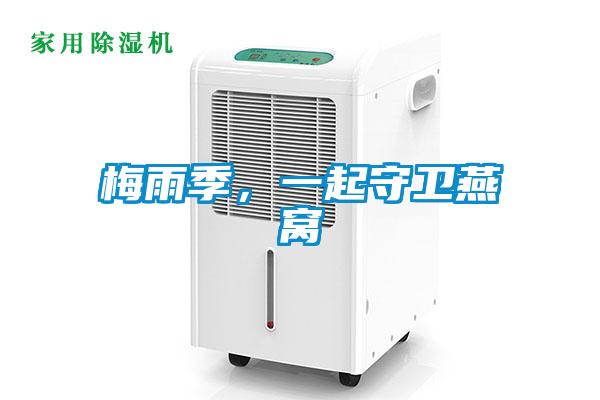 梅雨季，一起守卫燕窝