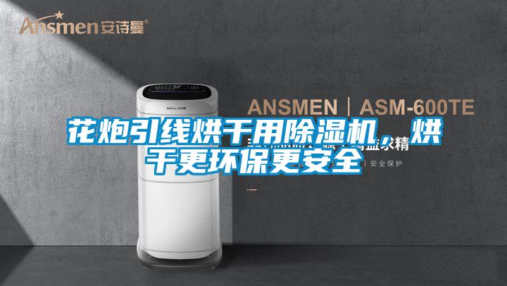 花炮引线烘干用除湿机，烘干更环保更安全