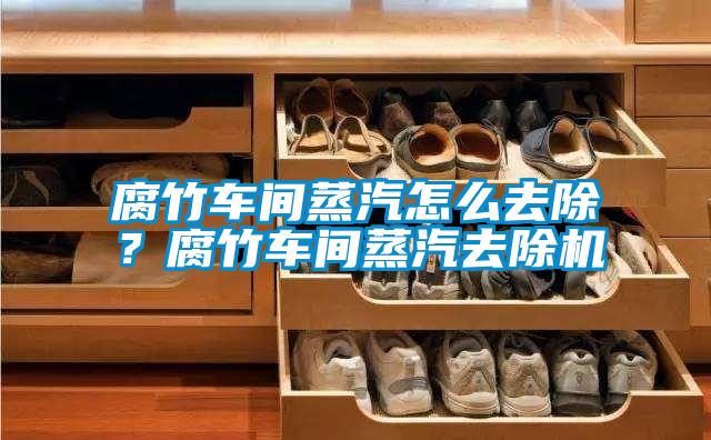 腐竹车间蒸汽怎么去除？腐竹车间蒸汽去除机