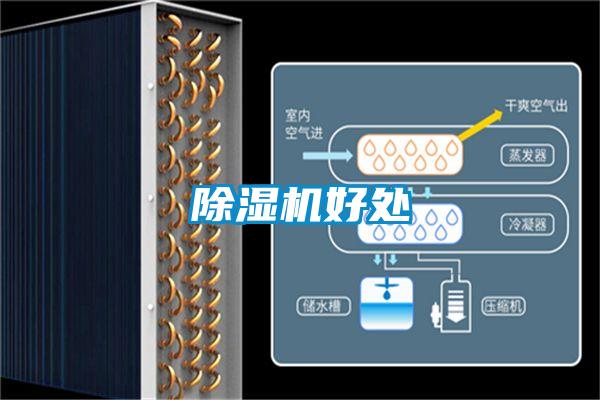 除湿机好处