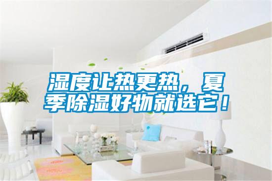湿度让热更热，夏季除湿好物就选它！