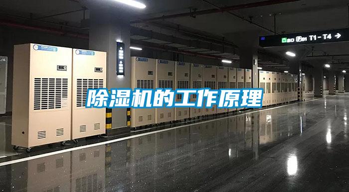 除湿机的工作原理