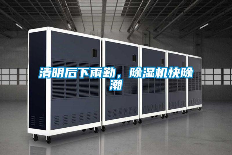 清明后下雨勤，除湿机快除潮