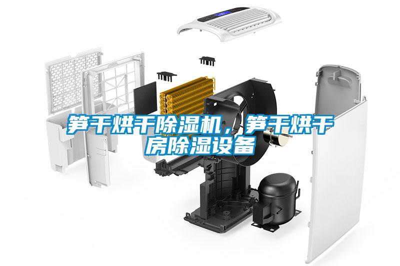 笋干烘干除湿机,笋干烘干房除湿设备