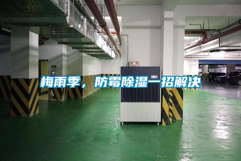 梅雨季，防霉除湿一招解决