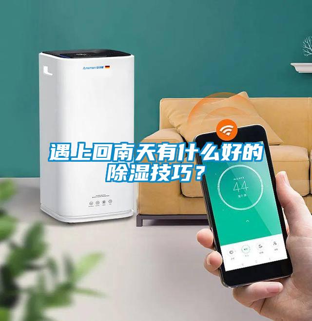 遇上回南天有什么好的除湿技巧？