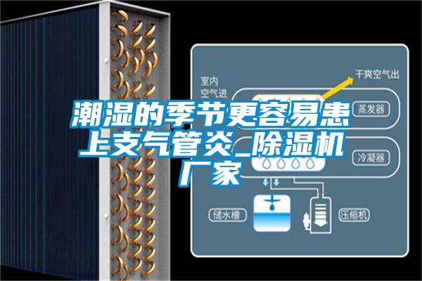 潮湿的季节更容易患上支气管炎_除湿机厂家