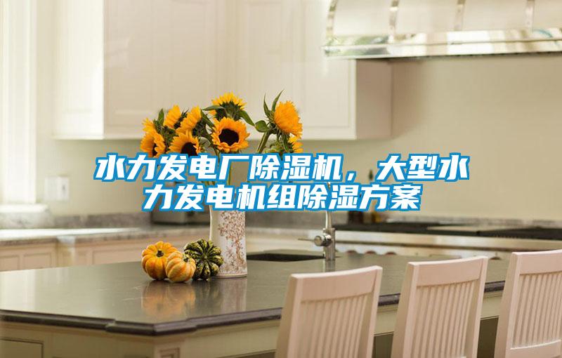 水力发电厂除湿机，大型水力发电机组除湿方案