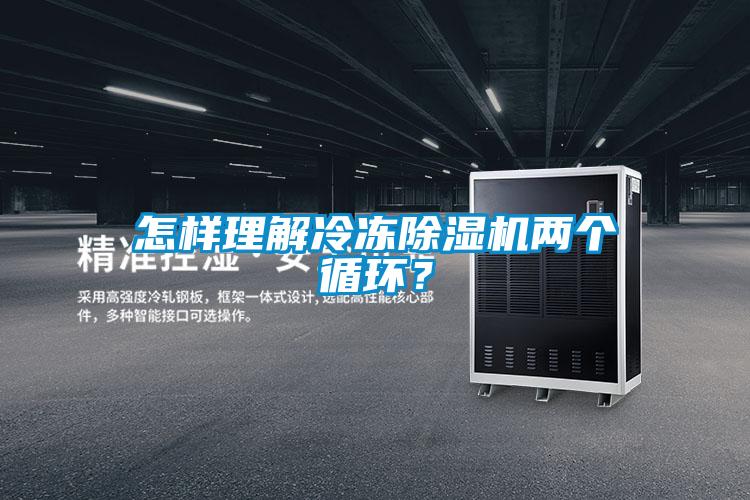 怎样理解冷冻除湿机两个循环？