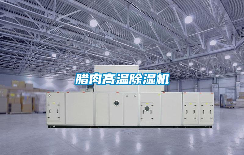 腊肉高温除湿机