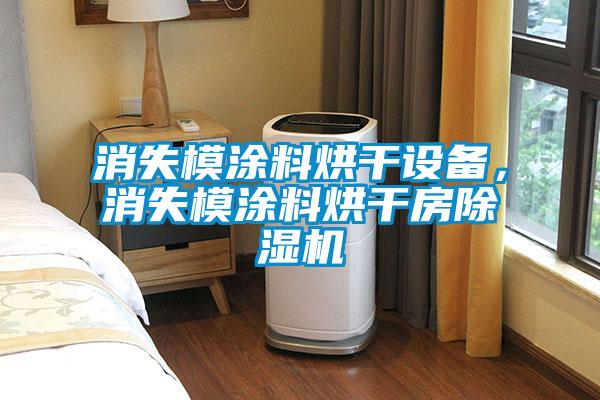 消失模涂料烘干设备，消失模涂料烘干房除湿机