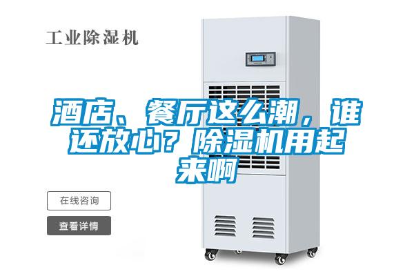 酒店、餐厅这么潮，谁还放心？除湿机用起来啊
