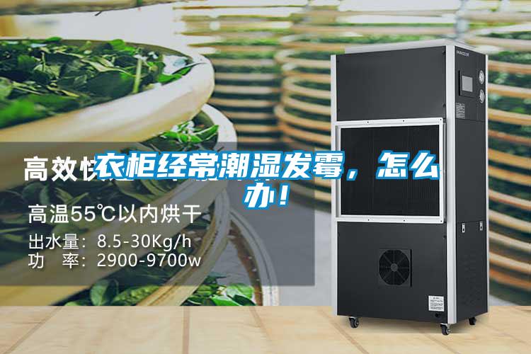 衣柜经常潮湿发霉，怎么办！