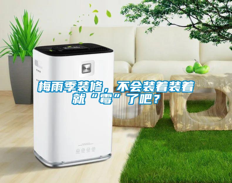 梅雨季装修，不会装着装着就“霉”了吧？