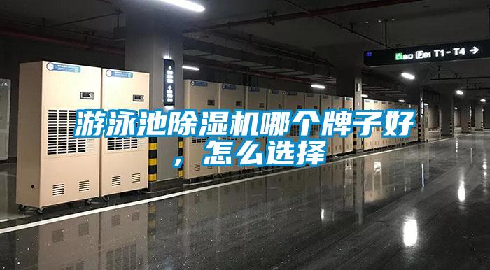 游泳池除湿机哪个牌子好,怎么选择
