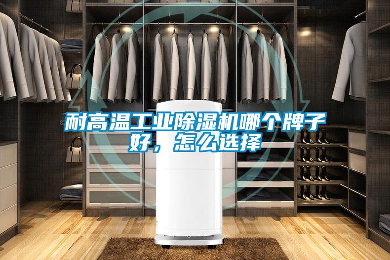 耐高温工业除湿机哪个牌子好,怎么选择
