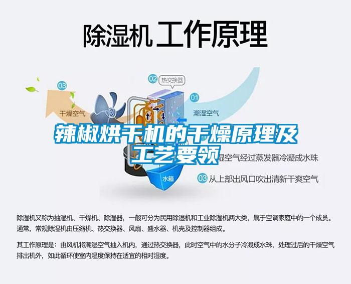 辣椒烘干机的干燥原理及工艺要领