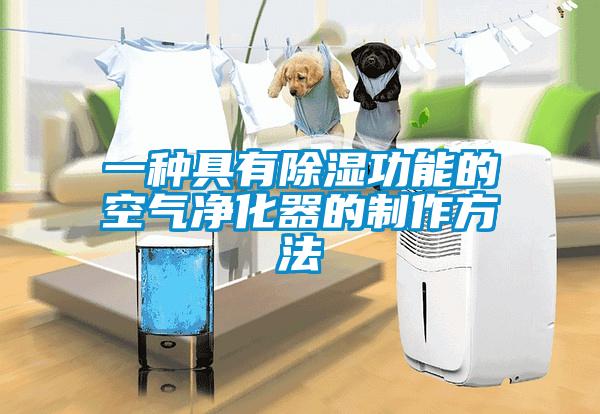 一种具有除湿功能的空气净化器的制作方法