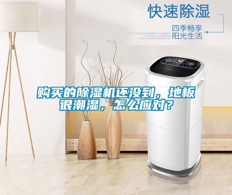 购买的除湿机还没到，地板很潮湿，怎么应对？