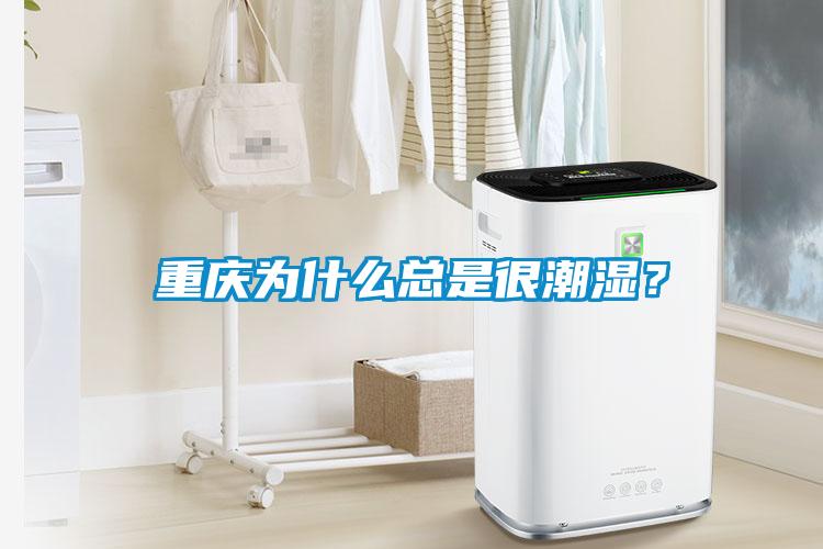 重庆为什么总是很潮湿？
