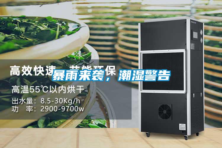 暴雨来袭，潮湿警告