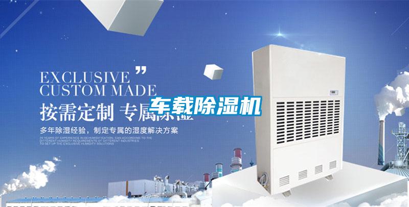 车载除湿机