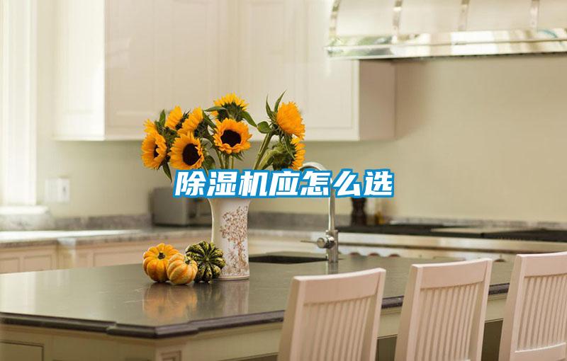 除湿机应怎么选