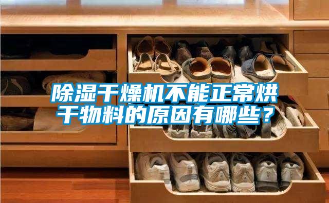 除湿干燥机不能正常烘干物料的原因有哪些？