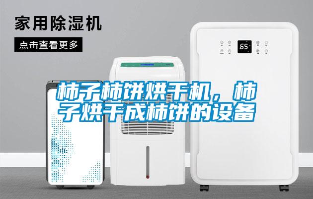 柿子柿饼烘干机，柿子烘干成柿饼的设备