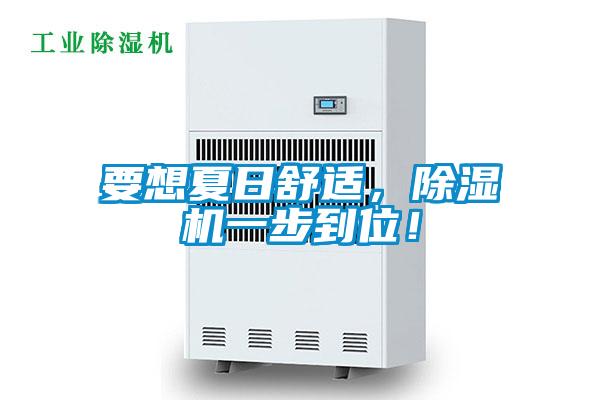 要想夏日舒适，除湿机一步到位！