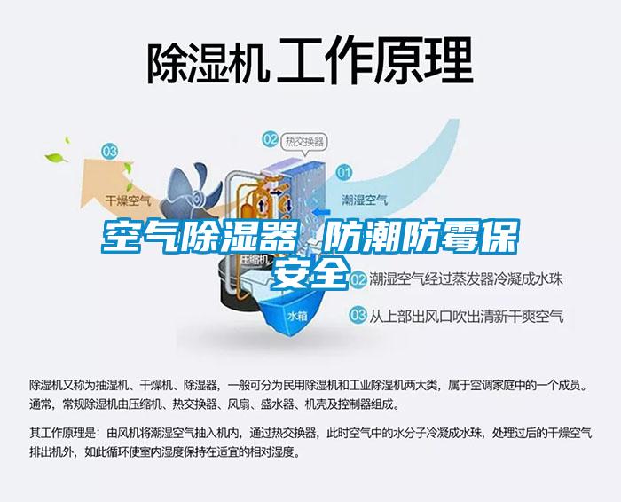 空气除湿器 防潮防霉保安全