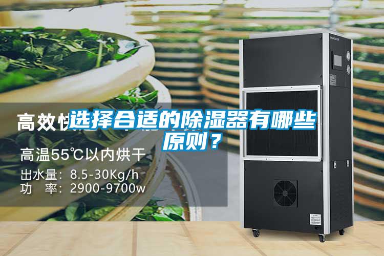 选择合适的除湿器有哪些原则？