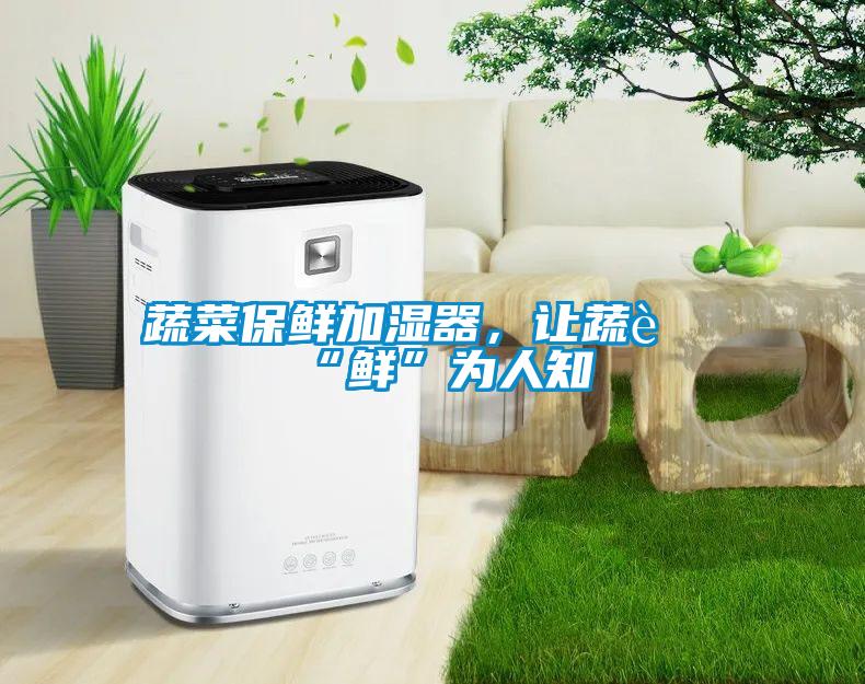 蔬菜保鲜加湿器，让蔬菜“鲜”为人知