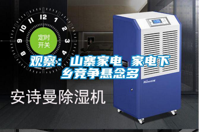 观察：山寨家电 家电下乡竞争悬念多