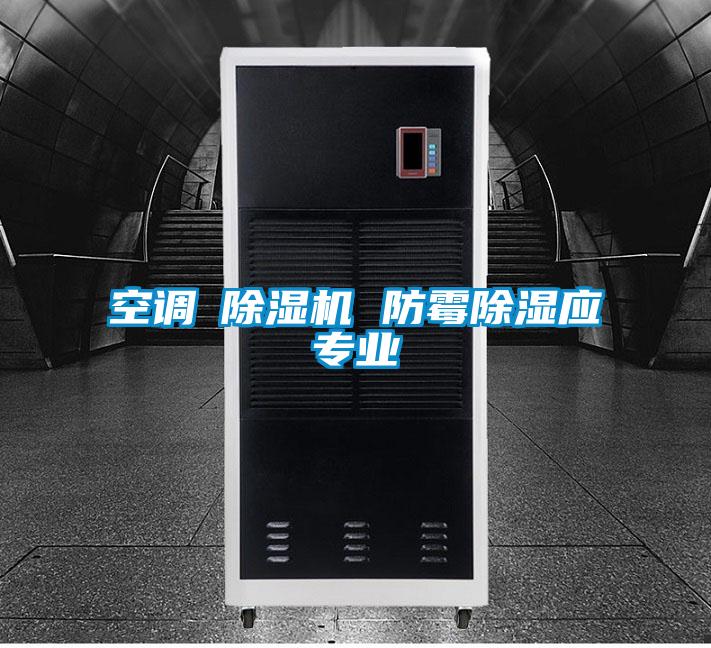 空调≠除湿机 防霉除湿应专业